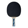 DONIC Ρακέτα Ping Pong Legends Line Level 700